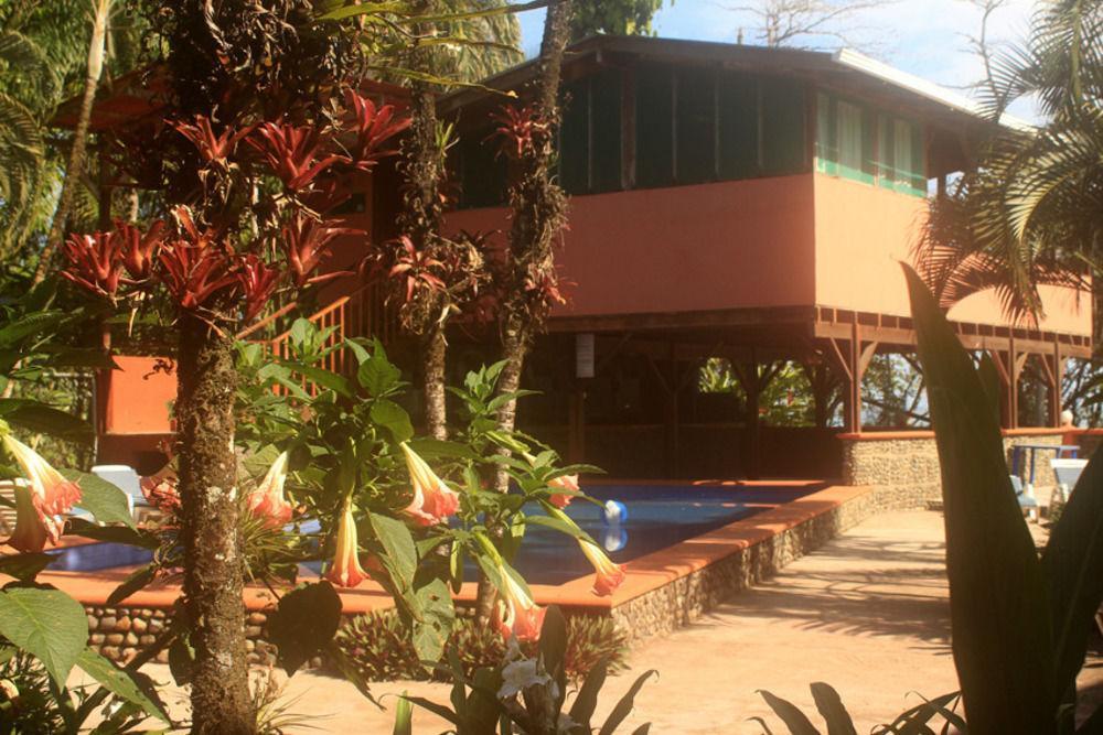 Puerto Viejo de Talamanca Perla Negra酒店 外观 照片